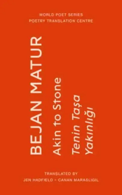 Akin to Stone by Bejan Matur