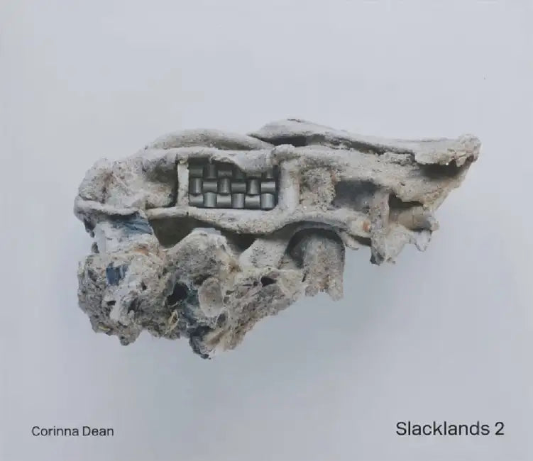 Slacklands 2 by ARCA