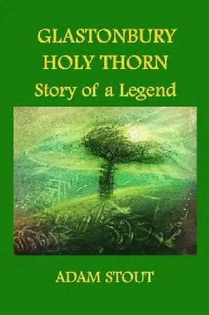 Glastonbury Holy Thorn. Story Of A Legend