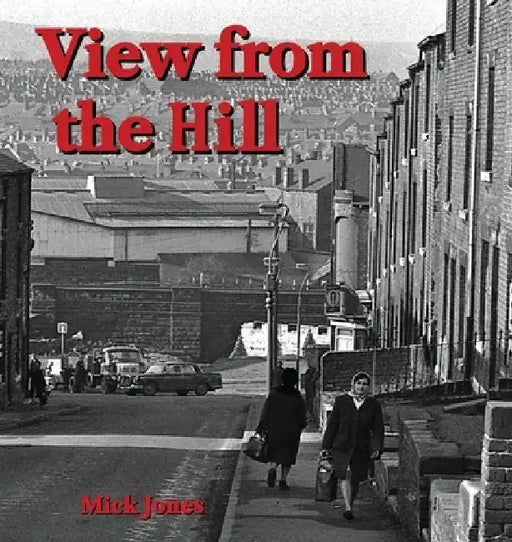 View from the Hill by Mick Jones