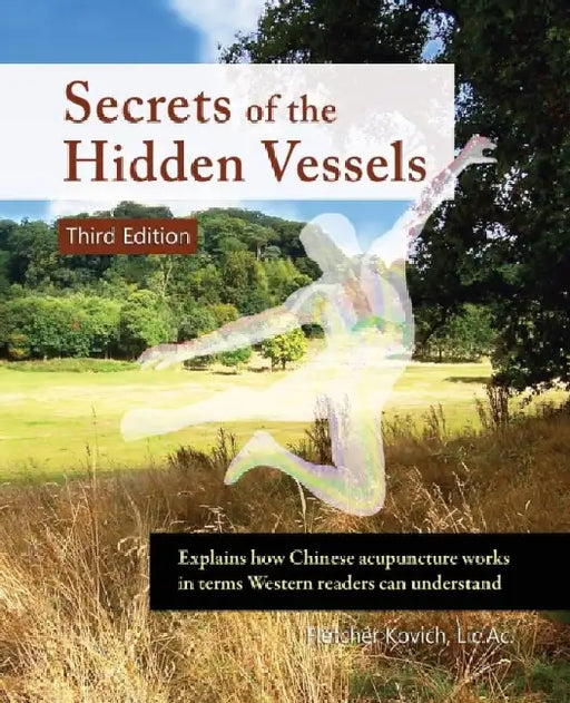 Secrets of the Hidden Vessels: Explains how Chinese acupuncture works in terms Western readers can understand by Fletcher Kovich