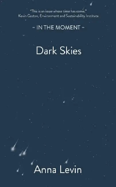 Dark Skies by Anna Levin