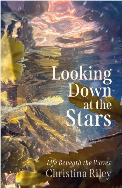 Looking Down at the Stars: Life beneath the waves by Christina Riley