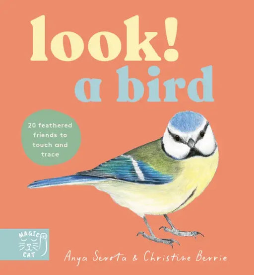 Look! A Bird! by Anya Serota