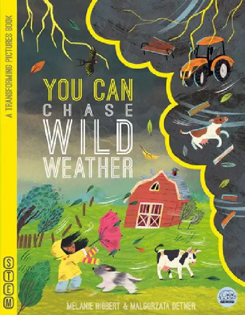 You Can Chase Wild Weather by Melanie Hibbert