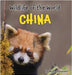 Wildlife of the World - China by Lansdown, Hugh
