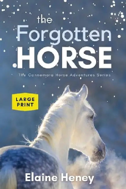 The Forgotten Horse - Book 1 in the Connemara Horse Adventure Series LARGE PRINT by Elaine Heney