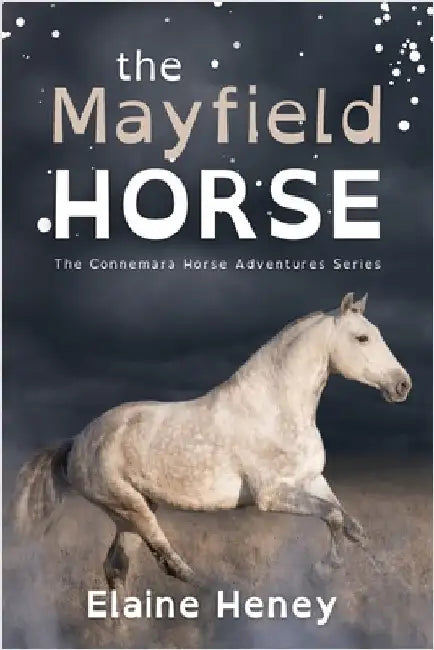 The Mayfield Horse - Dyslexia Friendly by Heney, Elaine