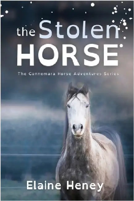 The Stolen Horse - Dyslexia Friendly by Heney, Elaine