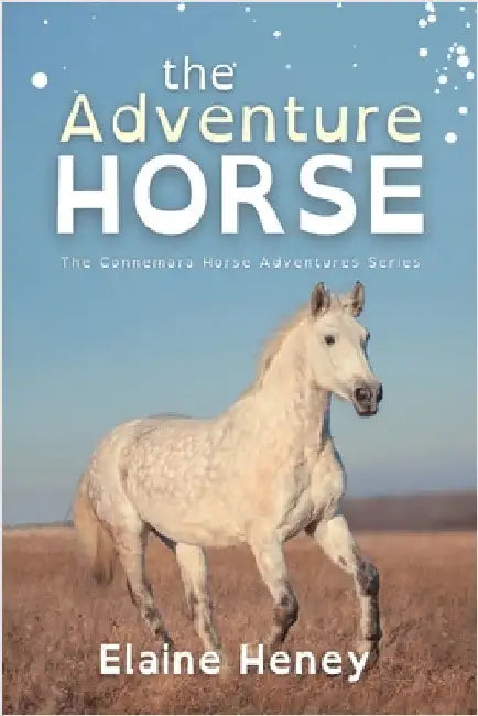 The Adventure Horse - Dyslexia Friendly by Heney, Elaine