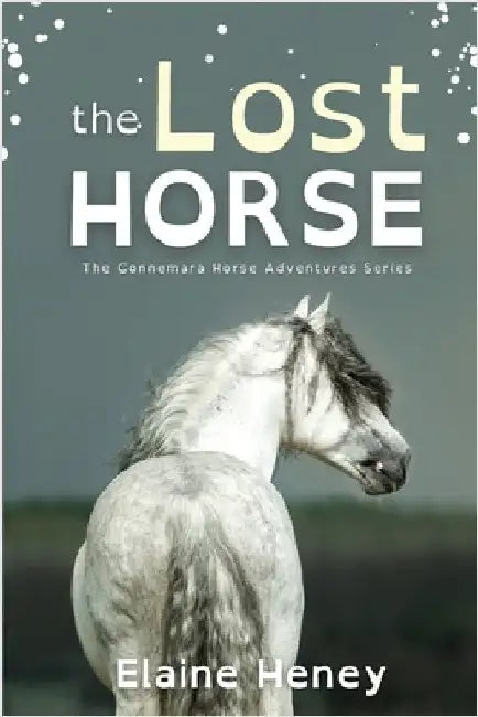 The Lost Horse - Dyslexia Friendly by Heney, Elaine