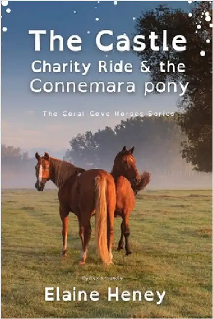 The Castle Charity Ride and the Connemara Pony - Dyslexia Friendly by Heney, Elaine