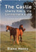 The Castle Charity Ride and the Connemara Pony - Dyslexia Friendly by Heney, Elaine