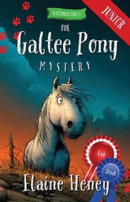 The Galtee Pony Mystery - Blackthorn Stables Junior by Elaine Heney