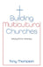 Building Multicultural Churches: Valuing Ethnic Diversity by Tony Thompson