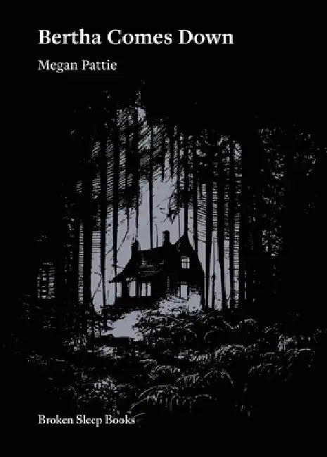 Bertha Comes Down by Megan Pattie