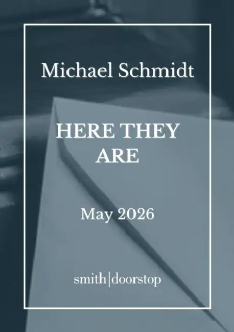 Here They Are by Michael Schmidt