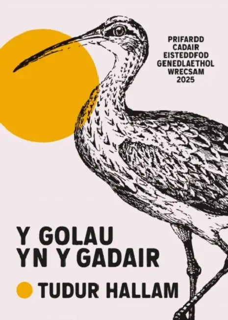 Y Golau yn y Gadair by Tudur Hallam