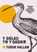 Y Golau yn y Gadair by Tudur Hallam