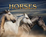 Horses: a Soulful Equestrian Photography Coffee Table Book by Rowan, Isla