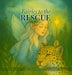 Fairies to the rescue by Jannell Chataway