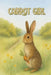 Carrot Girl by Mandi Martin