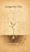 Longevity Nut: From Capacity and Rhythm  to Continuity Over Time by Oleg Lebedev