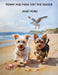 Penny and India Visit the Seaside by Janet Ford