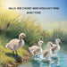 Sally, the Cygnet Who Wouldn't Swim by Janet Ford