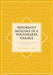 Reformist Muslims in a Yogyakarta Village: The Islamic Transformation of Contemporary Socio-Religious Life by Hyung-Jun Kim