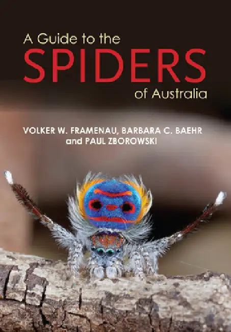 A Guide to Spiders of Australia by Paul Zborowski