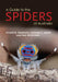 A Guide to Spiders of Australia by Paul Zborowski