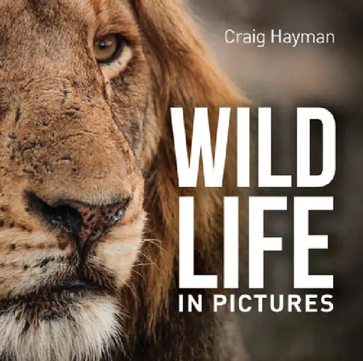 Wildlife in Pictures by Hayman, Craig