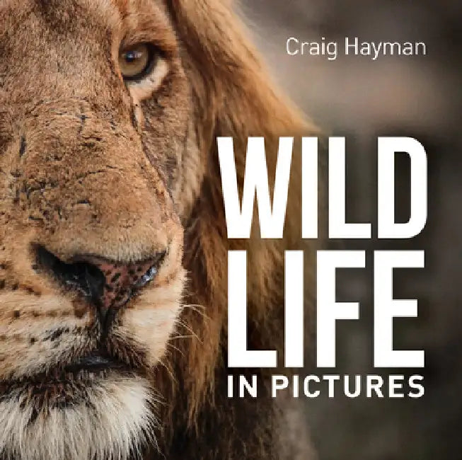 Wildlife in Pictures by Hayman, Craig