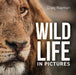 Wildlife in Pictures by Hayman, Craig
