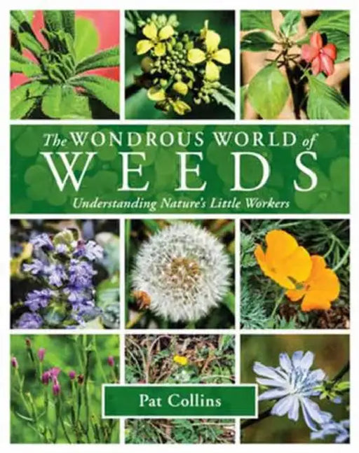 The Wondrous World of Weeds by Pat Collins