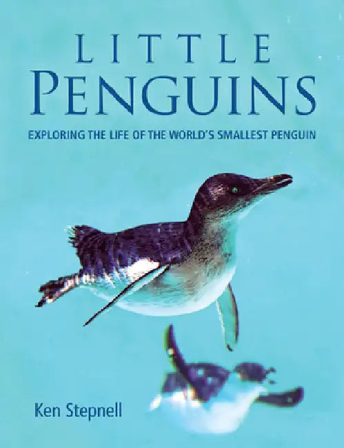 Little Penguins: Exploring the Life of the World's Smallest Penguin by Stepnell, Ken