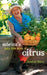 Sabrina's Juicy Little Book of Citrus by Hahn, Sabrina