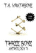 Three Bone: Anthology 3 (Large Print) by T. K. Wrathbone