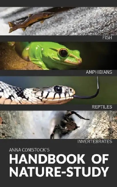 The Handbook Of Nature Study in Color - Fish, Reptiles, Amphibians, Invertebrates by Anna Comtock