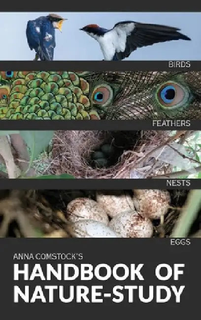 The Handbook Of Nature Study in Color - Birds by Anna B. Comstock