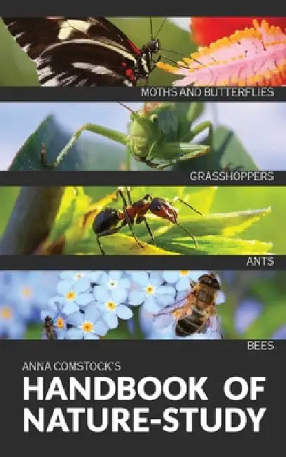 The Handbook Of Nature Study in Color - Insects by Anna B. Comstock
