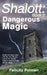 Shalott: Dangerous Magic by Felicity Pulman
