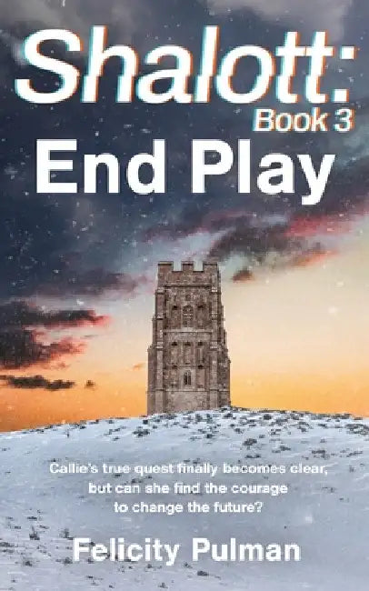 Shalott: End Play: End Play by Felicity Pulman