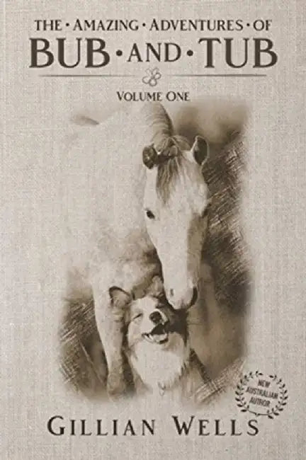 The Adventures of Bub & Tub: Volume One by Gillian Wells