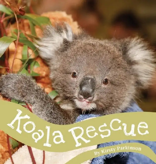 Koala Rescue by Kirsty Parkinson