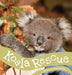 Koala Rescue by Kirsty Parkinson