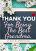 Thank You For Being The Best Grandma: My Gift Of Appreciation: Full Color Gift Book Prompted Questions 6.61 x 9.61 inch by The Life Graduate Publishing Group