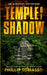 Temple Of Shadow by Phillip Tomasso