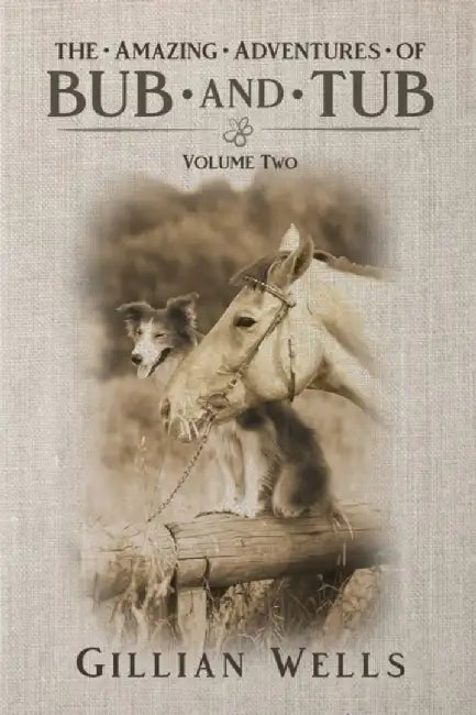 The Adventures of Bub & Tub Volume Two by Gillian Wells